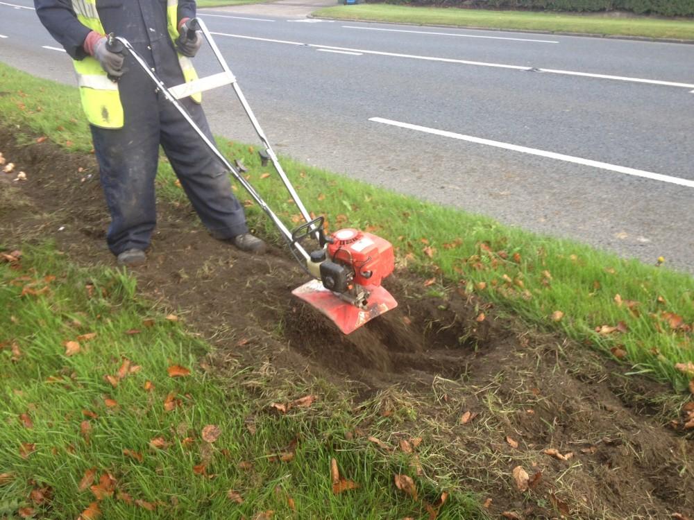 Bulb Planting on the A6 Verge Main Photo