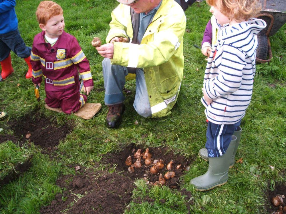 Bulb Planting Main Photo
