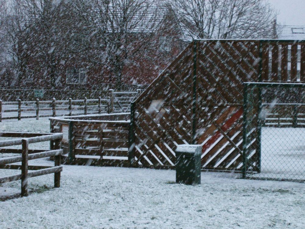 Winter Snow Gallery Main Photo