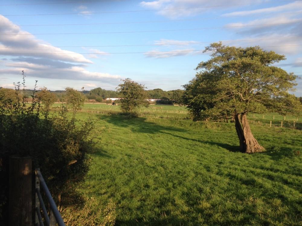 Stones Lane & Beyond Main Photo