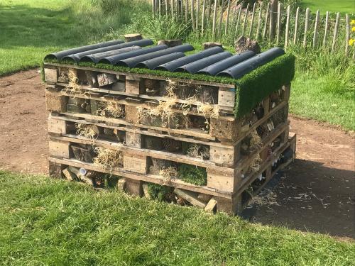More improvements on Catterall Playing Field